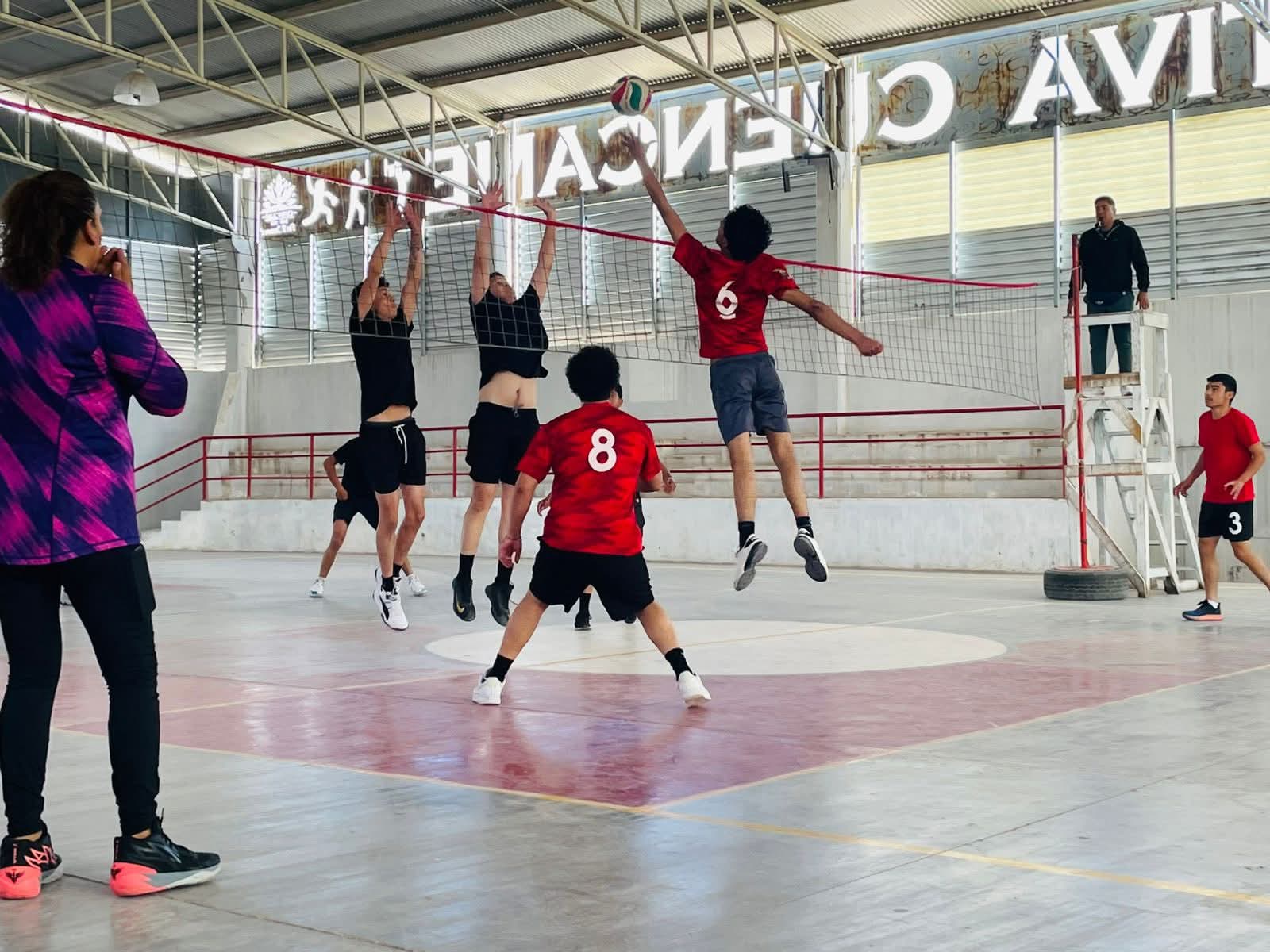 Imagen 6